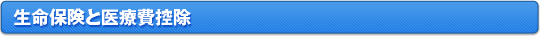 生命保険・医療費控除