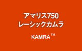 アマリス750レーシックカムラ