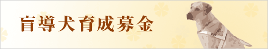 盲導犬育成募金