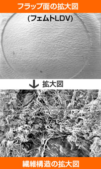 フラップ面の拡大図（フェムトLDV）