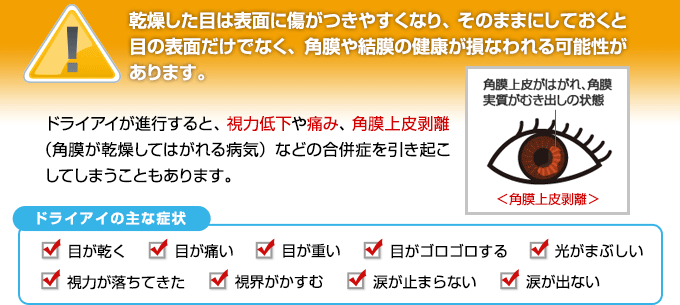 乾燥した目は表面に傷がつきやすくなり、そのままにしておくと、目の表面だけでなく、角膜や結膜の健康が損なわれる可能性があります。